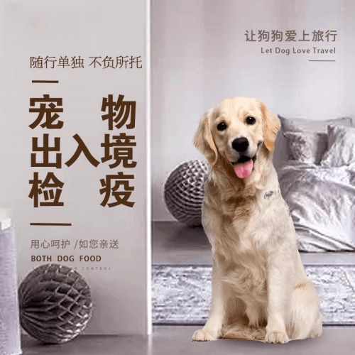 德宏州宠物托运到哥伦比亚猫狗宠物入境规定和