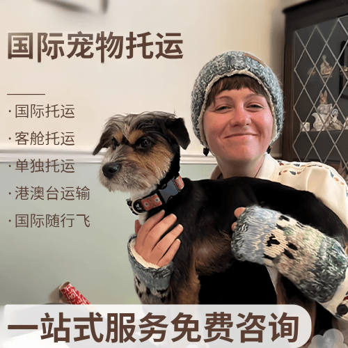 德宏州国际宠物托运到阿根廷宠物入境规定和要