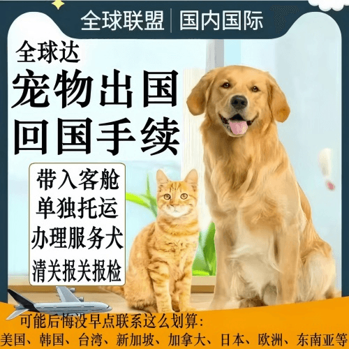 德宏州宠物托运到柬埔寨宠物入境规定和要求